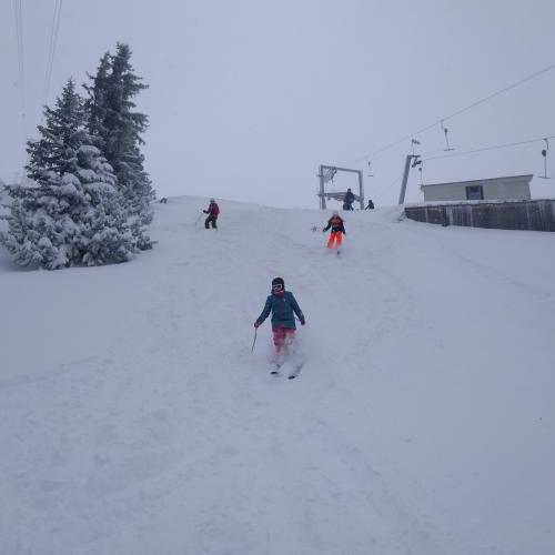 ski3